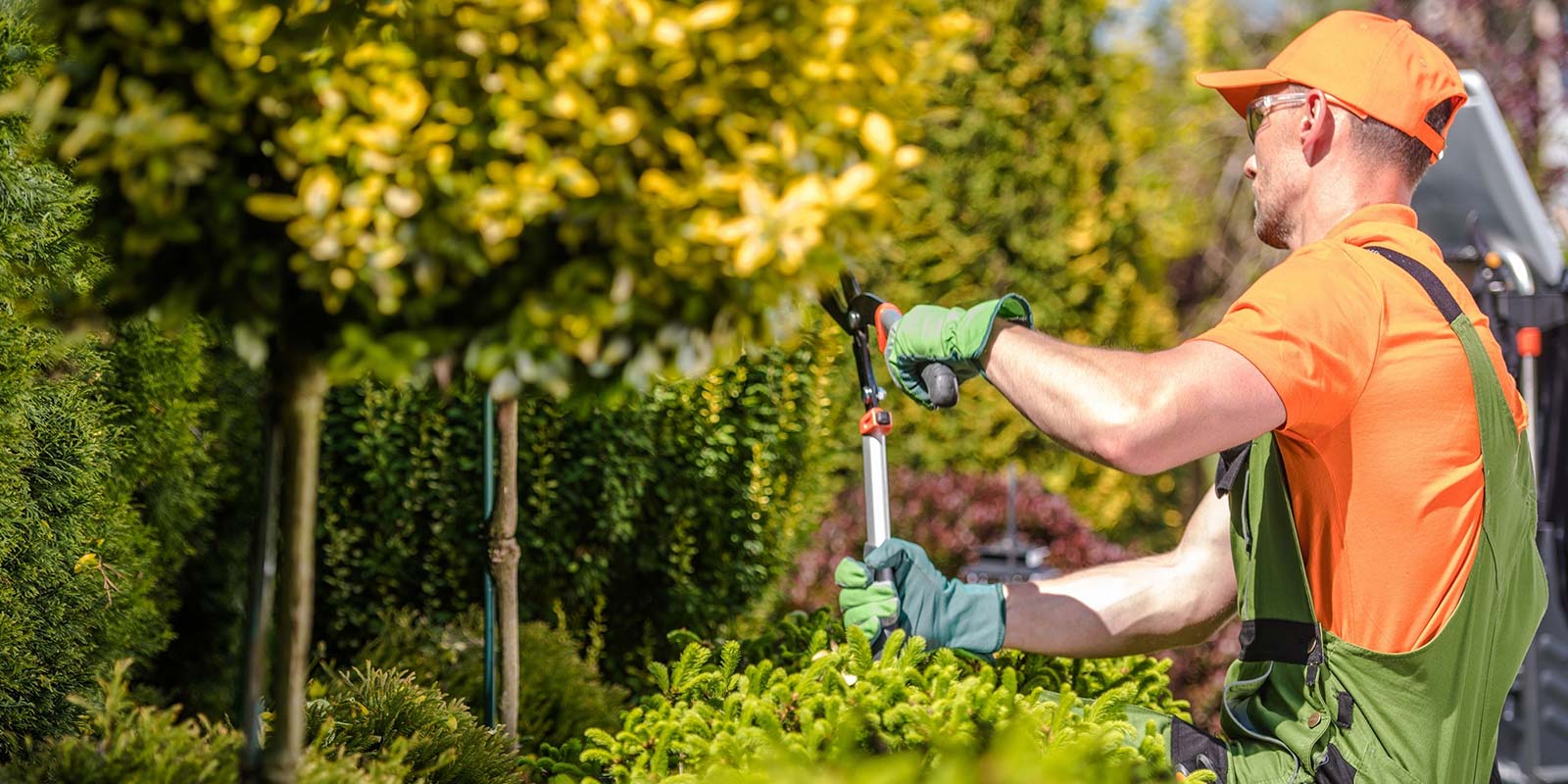 One Call for All Your Land Needs