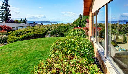 Nurturing Nature with Green