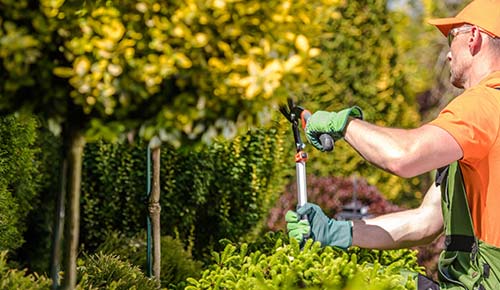 One Call for All Your Land Needs