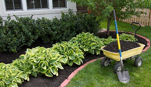 Save Time and Money; We’ve Got You!